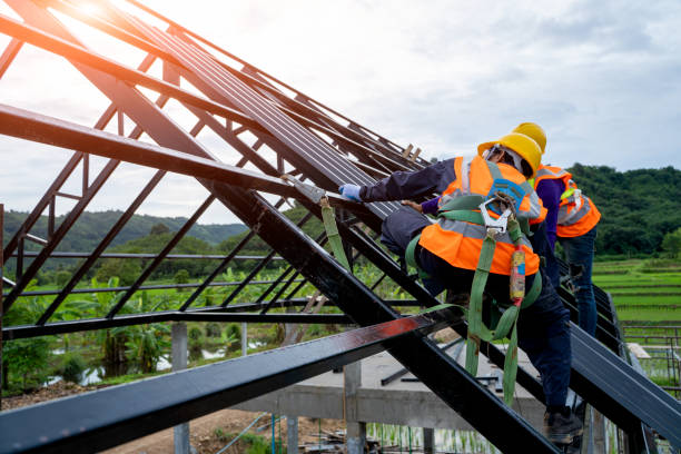 Best Roof Maintenance Services  in St Georges, DE