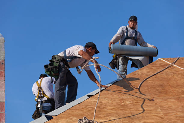 Best Shingle Roofing Installation  in St Georges, DE