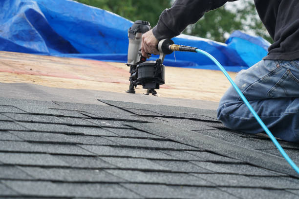 Best Roof Gutter Cleaning  in St Georges, DE