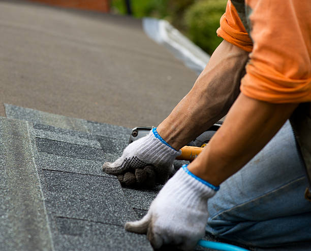 Roof Waterproofing Services in St Georges, DE